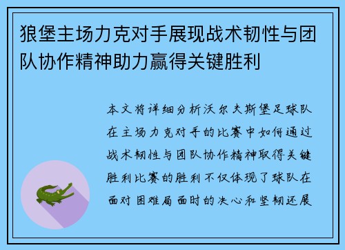 狼堡主场力克对手展现战术韧性与团队协作精神助力赢得关键胜利