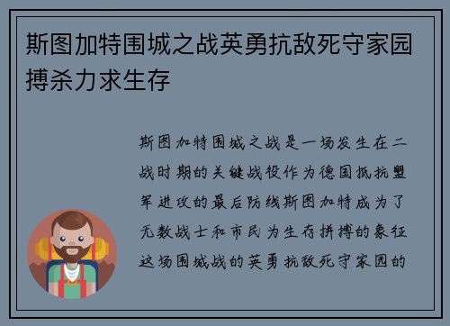 斯图加特围城之战英勇抗敌死守家园搏杀力求生存