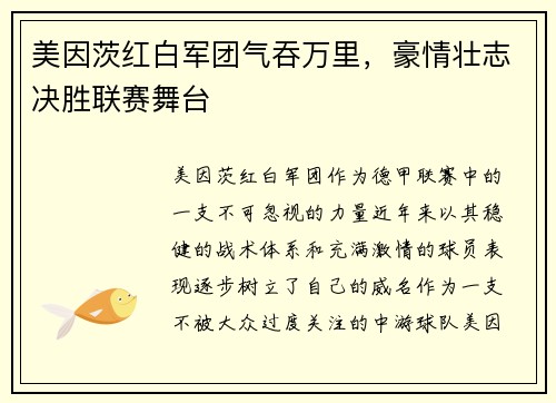 美因茨红白军团气吞万里，豪情壮志决胜联赛舞台